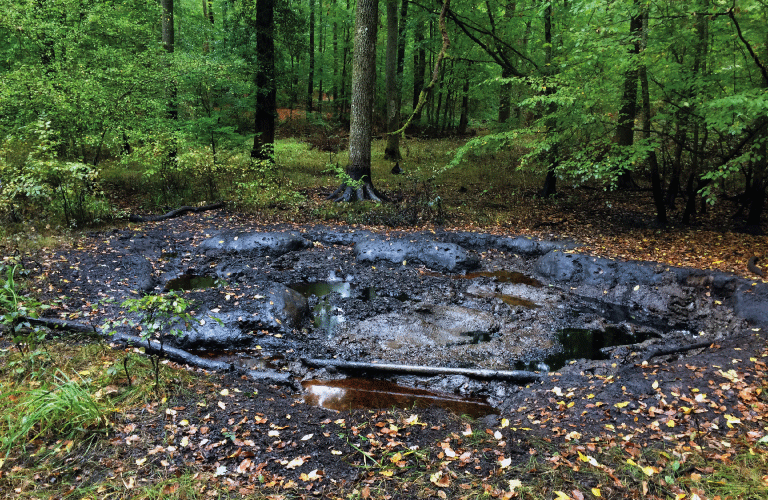 Oil resurgence in Alsace