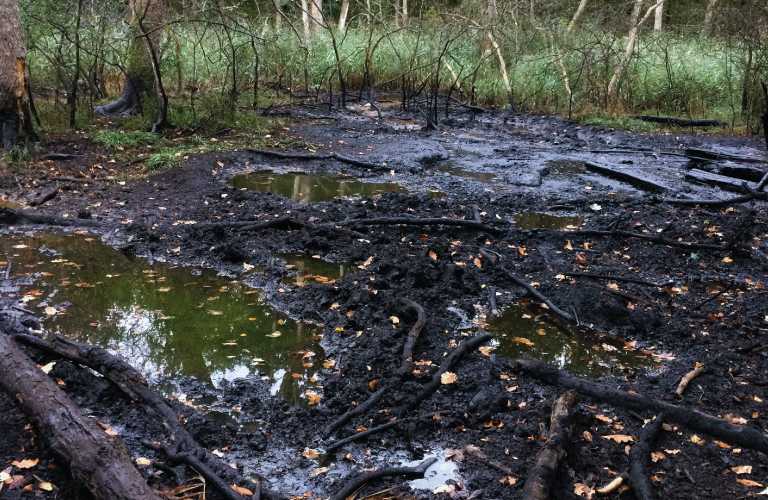Petroleum resurgence in Alsace, France