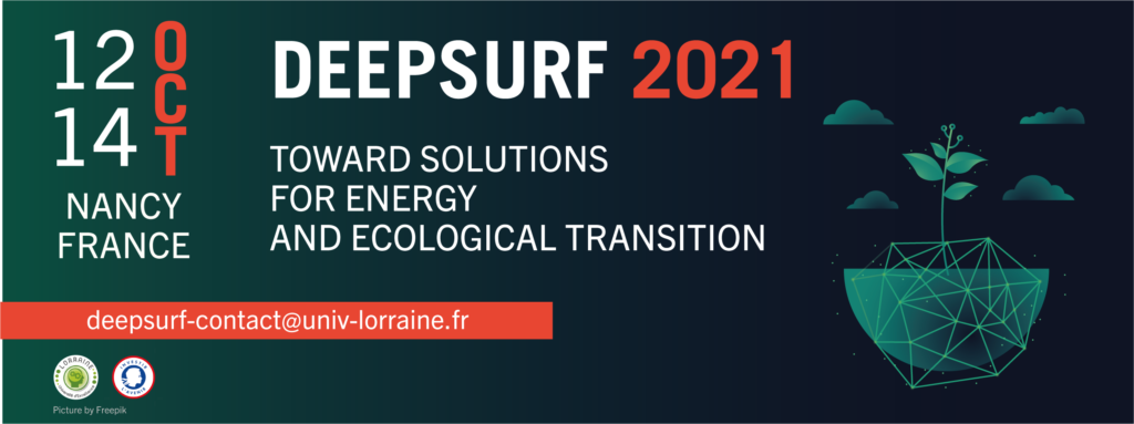 DEEPSURF International Conference