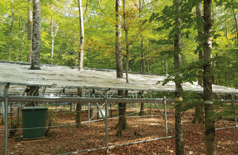 Dispositif-sécherese-coupé-2